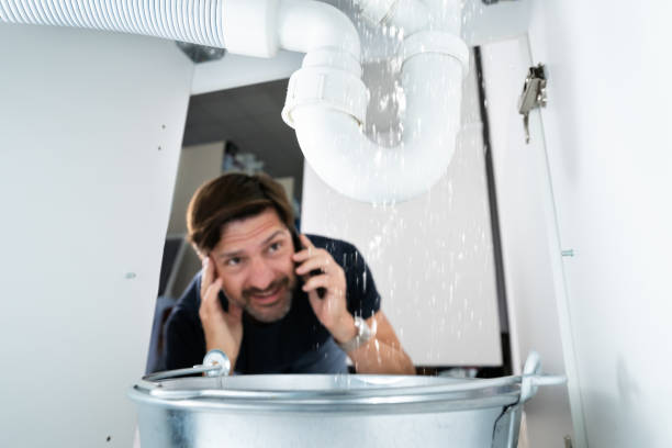 Best Plumbing Services Near Me  in Cave City, AR